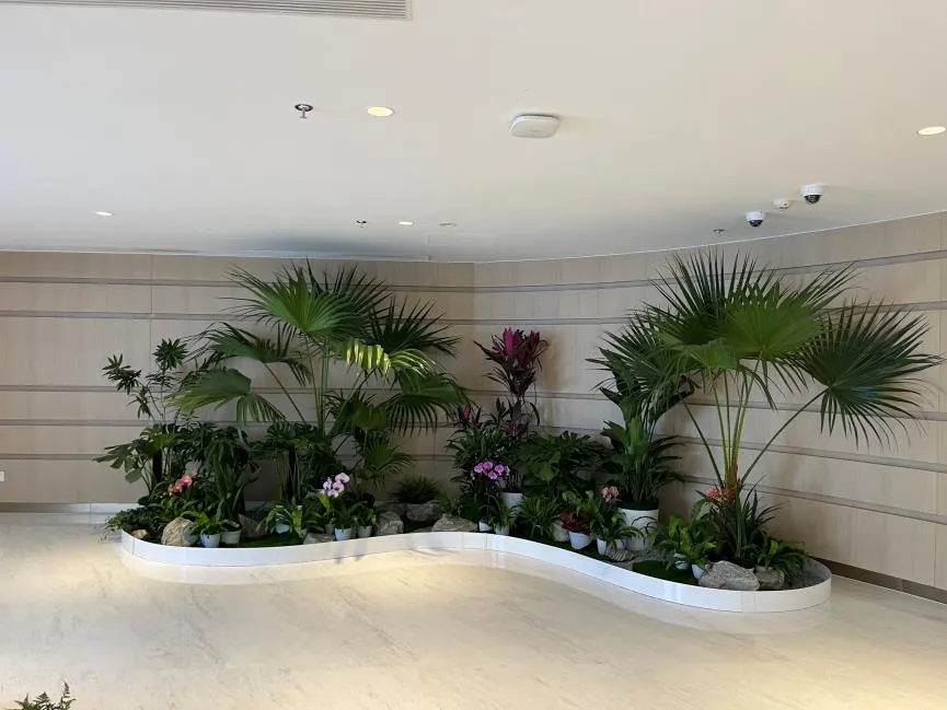 慈溪绿化修剪专业服务，为城市添一抹绿